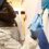Industry Experts Wanted: LSST Launches Paid Exchange Programme for London Decorators and Site Forepersons